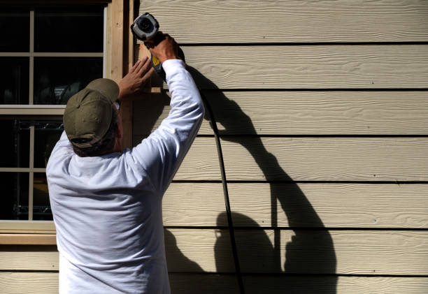 Best Siding Replacement  in Alamo, CA
