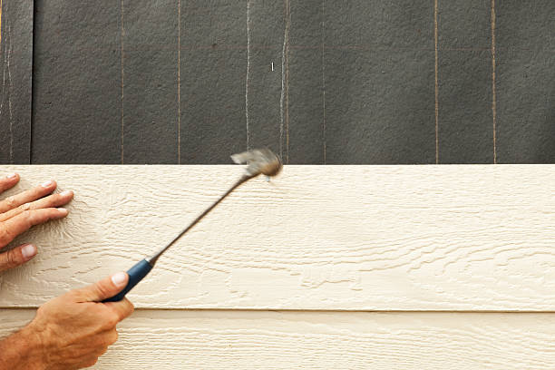 Affordable Siding Repair and Maintenance Services in Alamo, CA